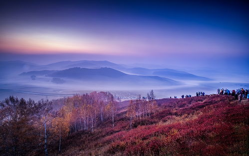 坝上一瞥 光影捕捉的瞬间艺术