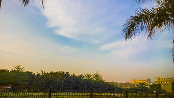 镜头下的第二乐章 摄影的艺术与哲思